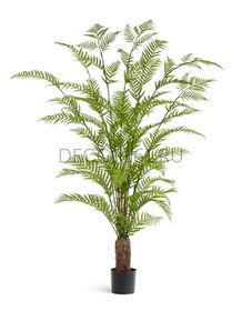 Экзотические растения Treez