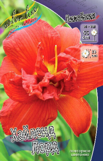 Лилейник Хайленд Лорд