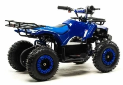 Электроквадроцикл Motoland ATV E009 1000W