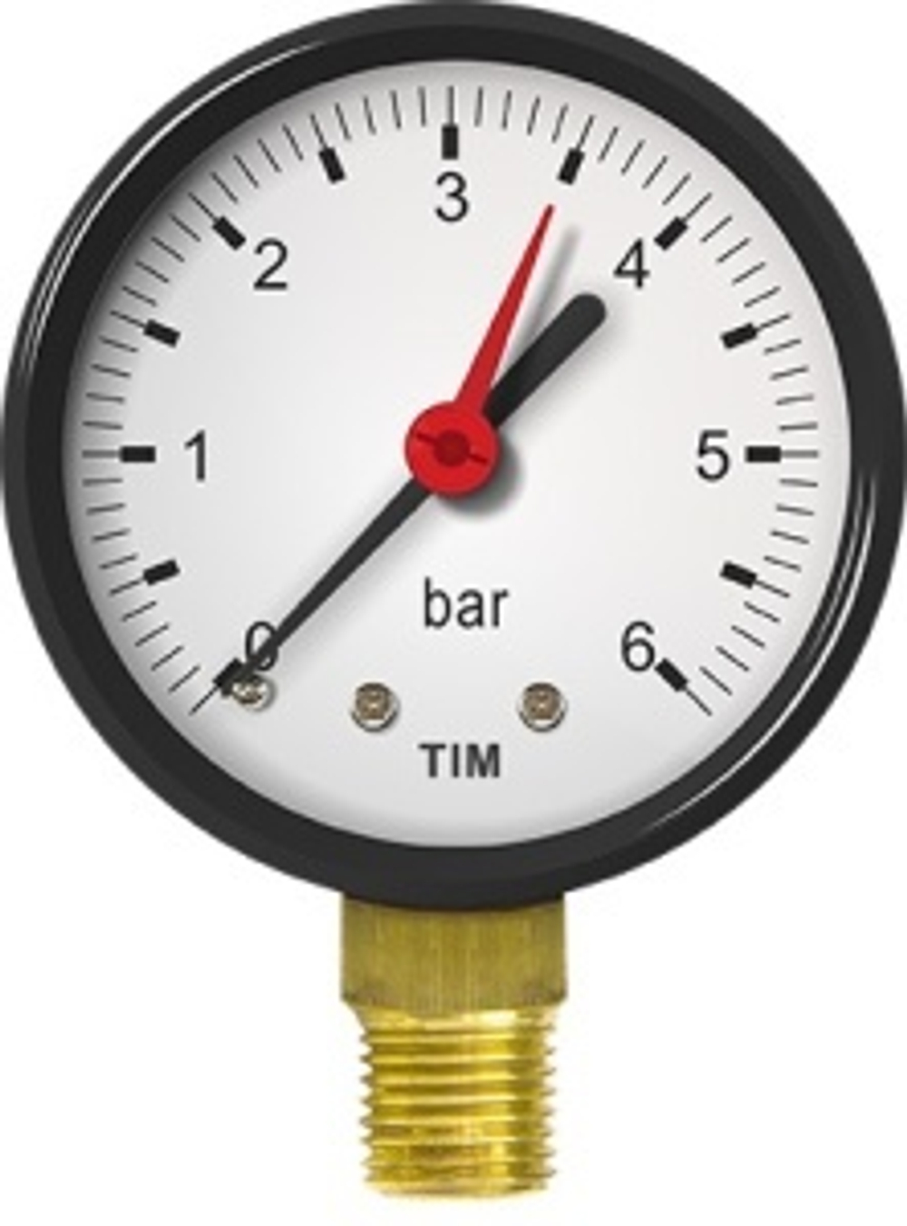 Манометр вертикальный 10 bar (TIM) 1/60
