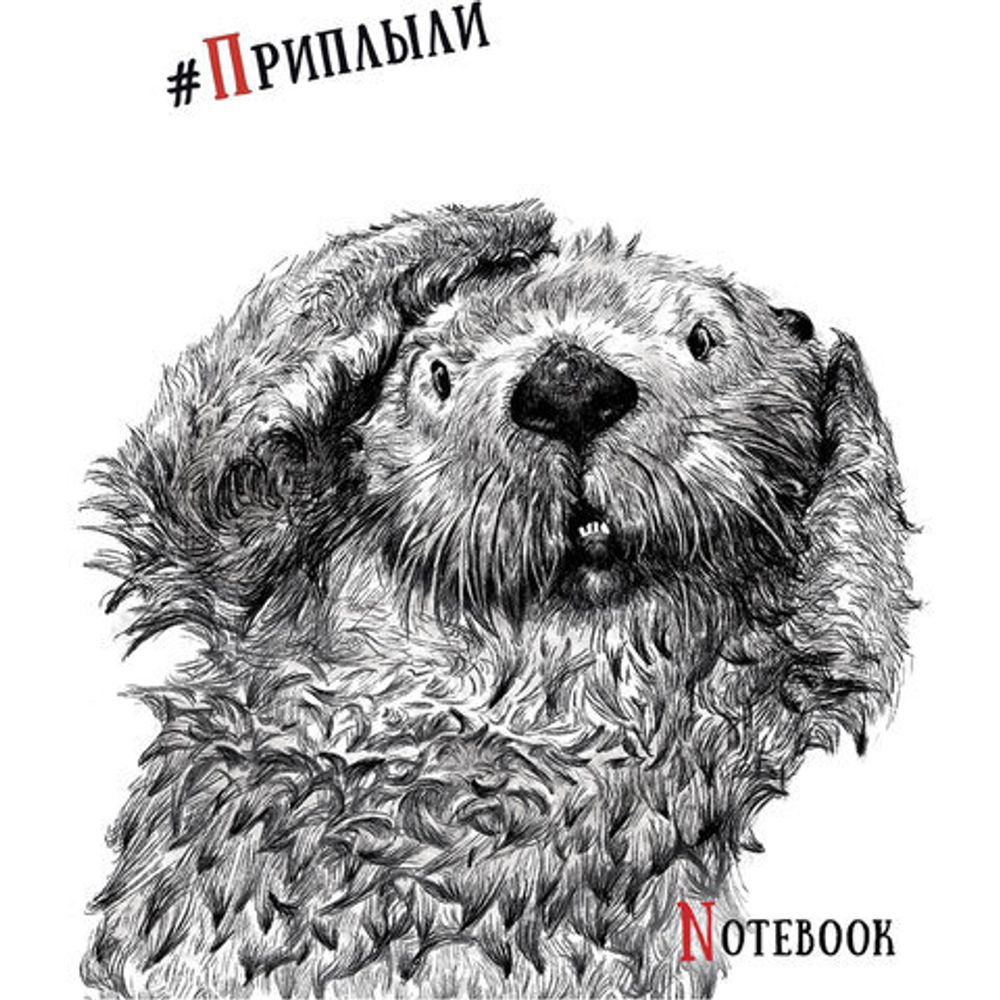 Тетрадь 48 л. кл. скреп. ЧЕРНО-БЕЛЫЕ ЗВЕРИ А5 soft touch выб. УФ-лак офс.