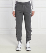 Спортивные штаны EA7 - графитовый(6RPP54 PJ05Z)