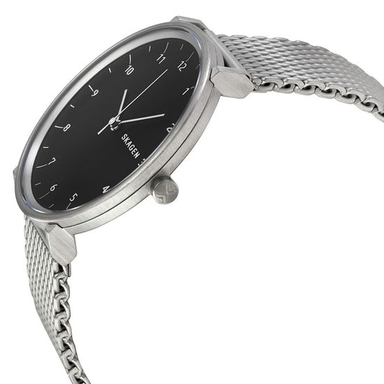 Мужские часы Skagen SKW6175