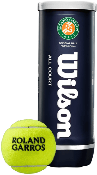 Мячи теннисные Wilson Roland Garros All Court (3 мяча в банке)