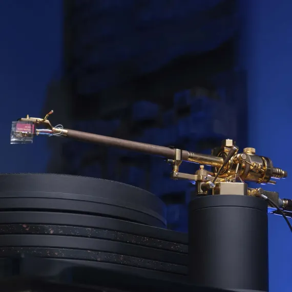 Auris Bayadere 5 Black Hawk 24k Gold Tonearm Black/Gold