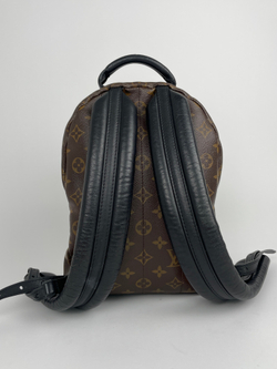 Рюкзак Louis Vuitton Monogram Canvas Palm Springs