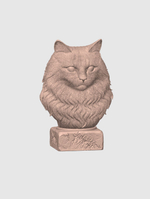 Норвежская Лесная Кошка