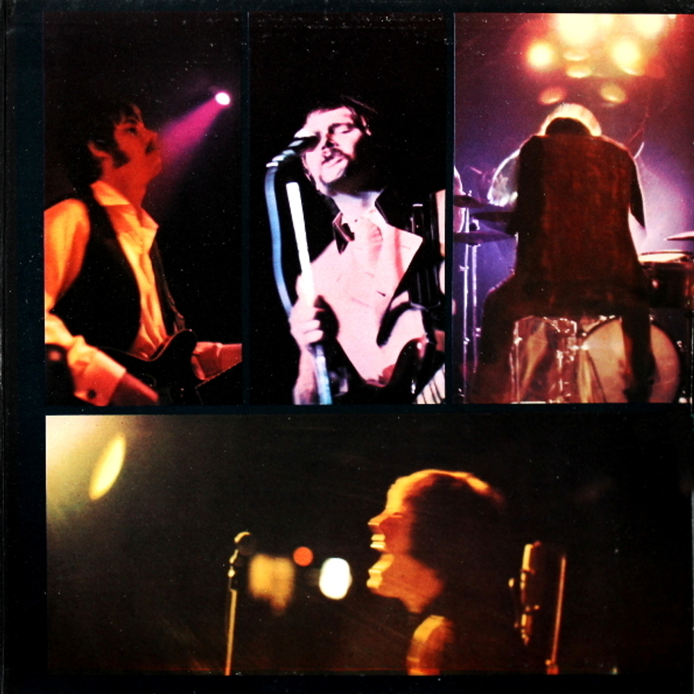 The Grass Roots / Lovin' Things (LP)
