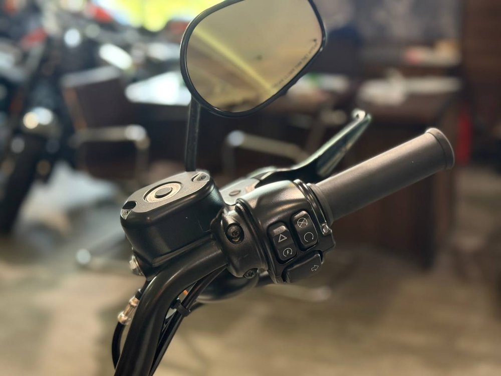 Harley-Davidson Sportster Iron 883 (XL883N) 2018