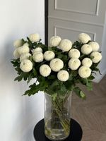 Хризантема одноголовая в белом оттенке