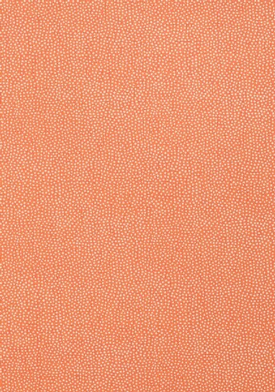 Обои флизелиновые Thibaut Paramount арт. T2967