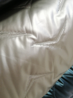 Стежка (курточная/термостежка/под "кожу"). Принт- Черточки, графит