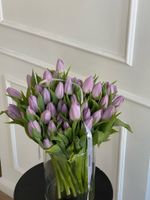 Тюльпаны классика - лавандовый цвет ЗАКОНЧИЛСЯ