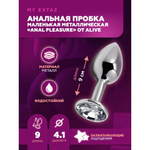 Анальная пробка Alive Anal Pleasure маленькая металл L: 9х4,1 см