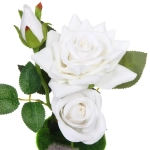 Цветочная композиция «Розовый восторг» 22см в горшке, цвет белый