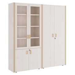 Композиция 1 Шкаф для бумаг с гардеробом 195x42x206