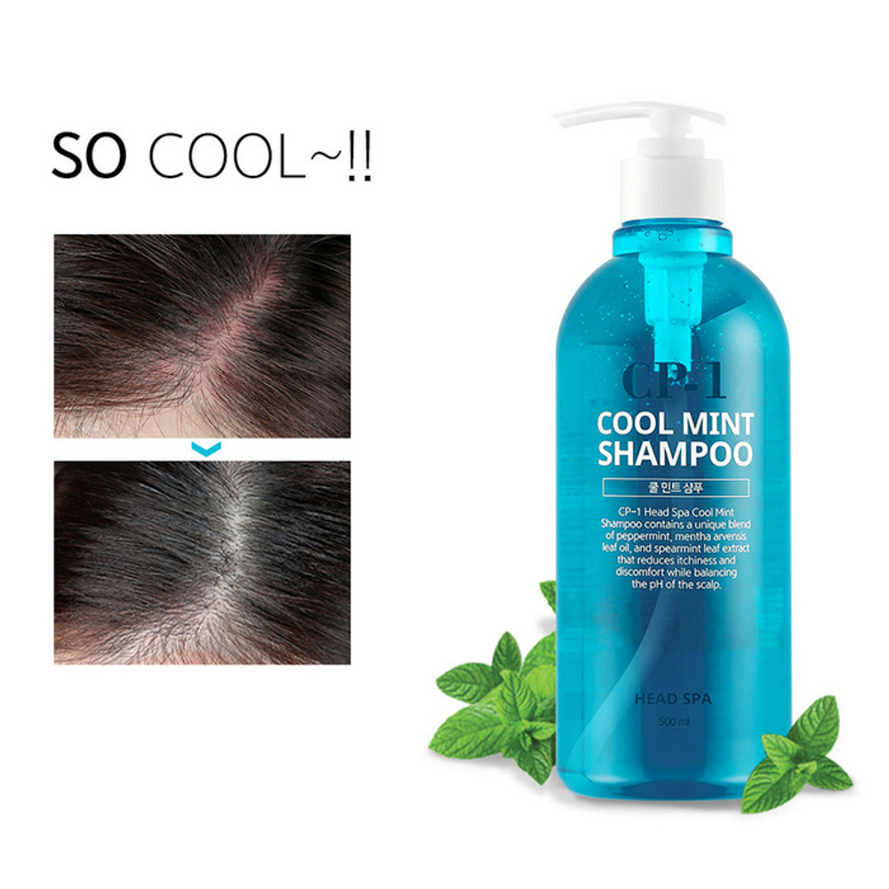 Esthetic House CP-1 Head Spa Cool Mint Shampoo охлаждающий шампунь с мятой