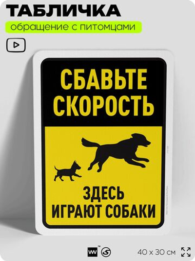 Табличка "Сбавьте скорость, здесь играют собаки" на дверь и забор, для двора, дома, подъезда, 40х30 см, Silver Plane x Айдентика Технолоджи