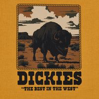  Футболка мужская Dickies Darrtown Short Sleeve Tee 