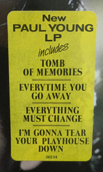 Paul Young / The Secret Of Association (LP)