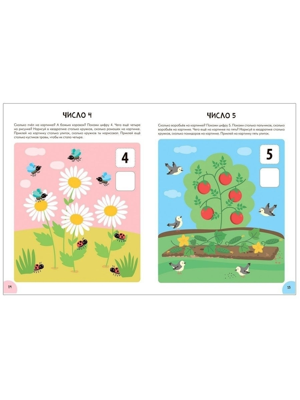 Счет, форма, величина 3+ Школа Семи Гномов. Активити с наклейками