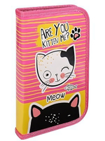 Пенал 1-секц, большой "Игривый котик" (ПН-0829) глянц.ламинир. (Проф-пресс)