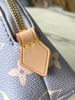 Louis Vuitton Cosmetic Pouch
