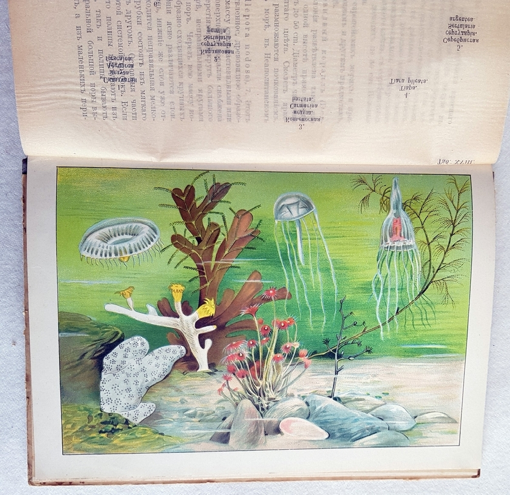 "В глубине вод". А.Шлейер. 1912г. - антикварное издание