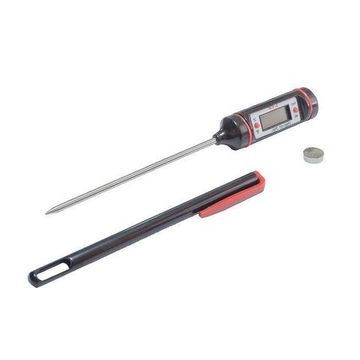 Электронный термометр-щуп WT-1 с чехлом (пакет)