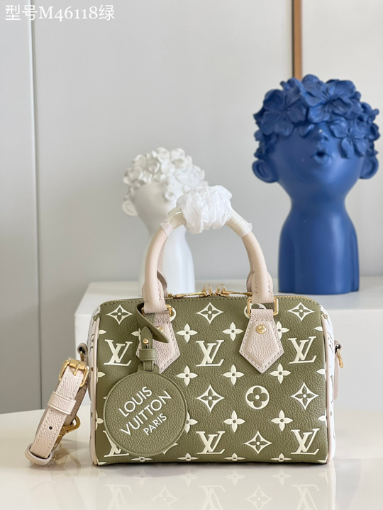 Louis Vuitton Speedy 20