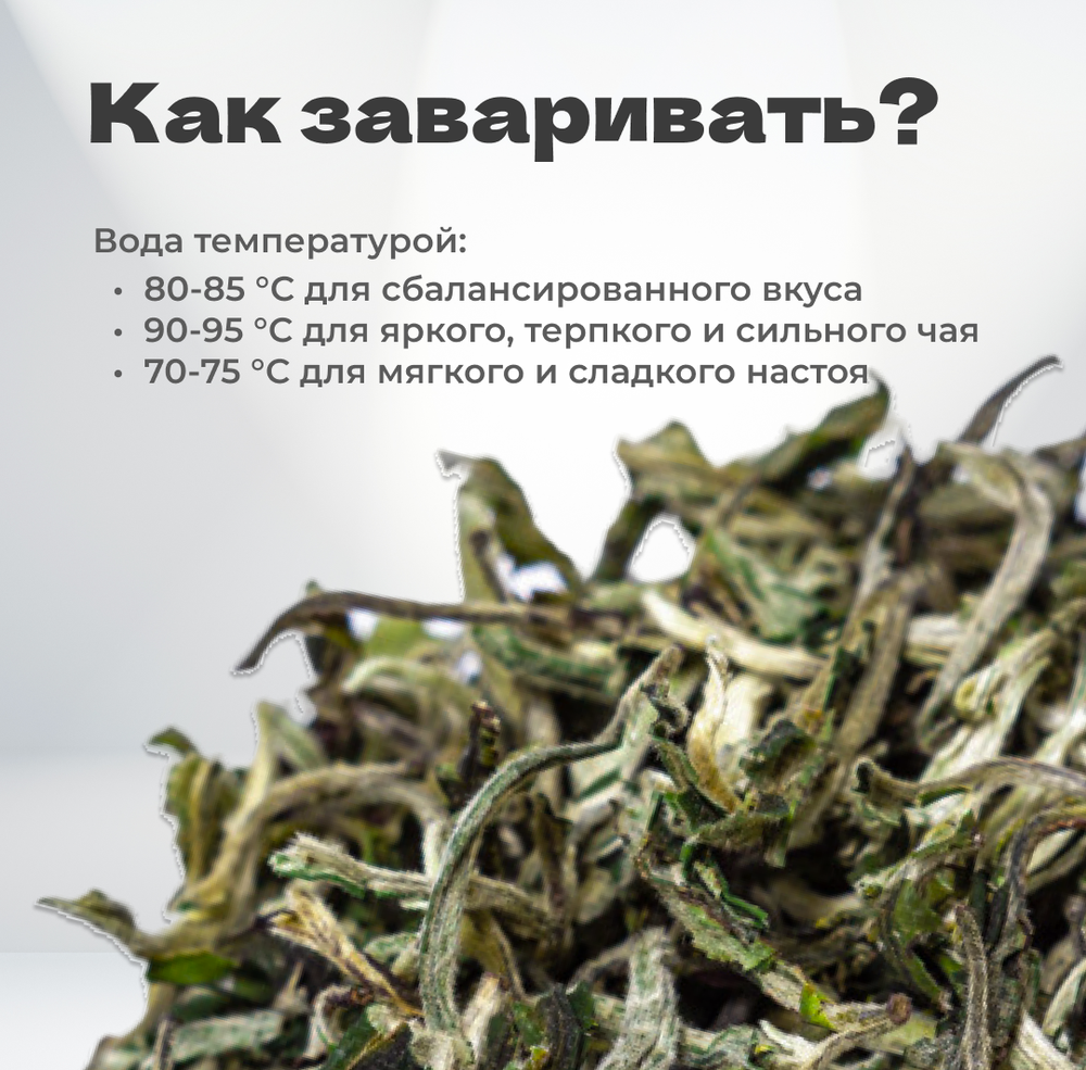 Чай зеленый Сюэ Я "Снежная Почка", весна 2024 г, 20 гр в банке