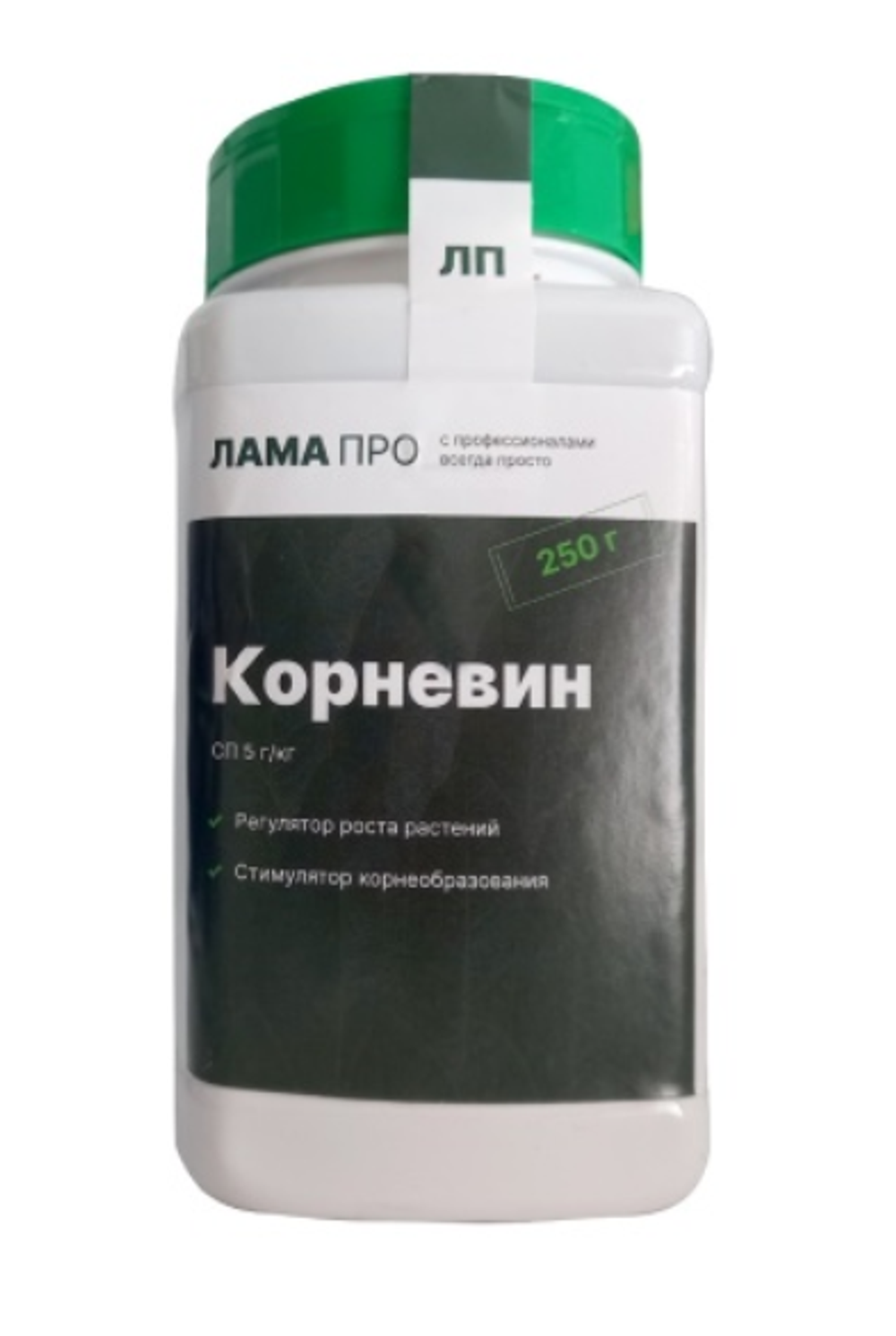 Корневин