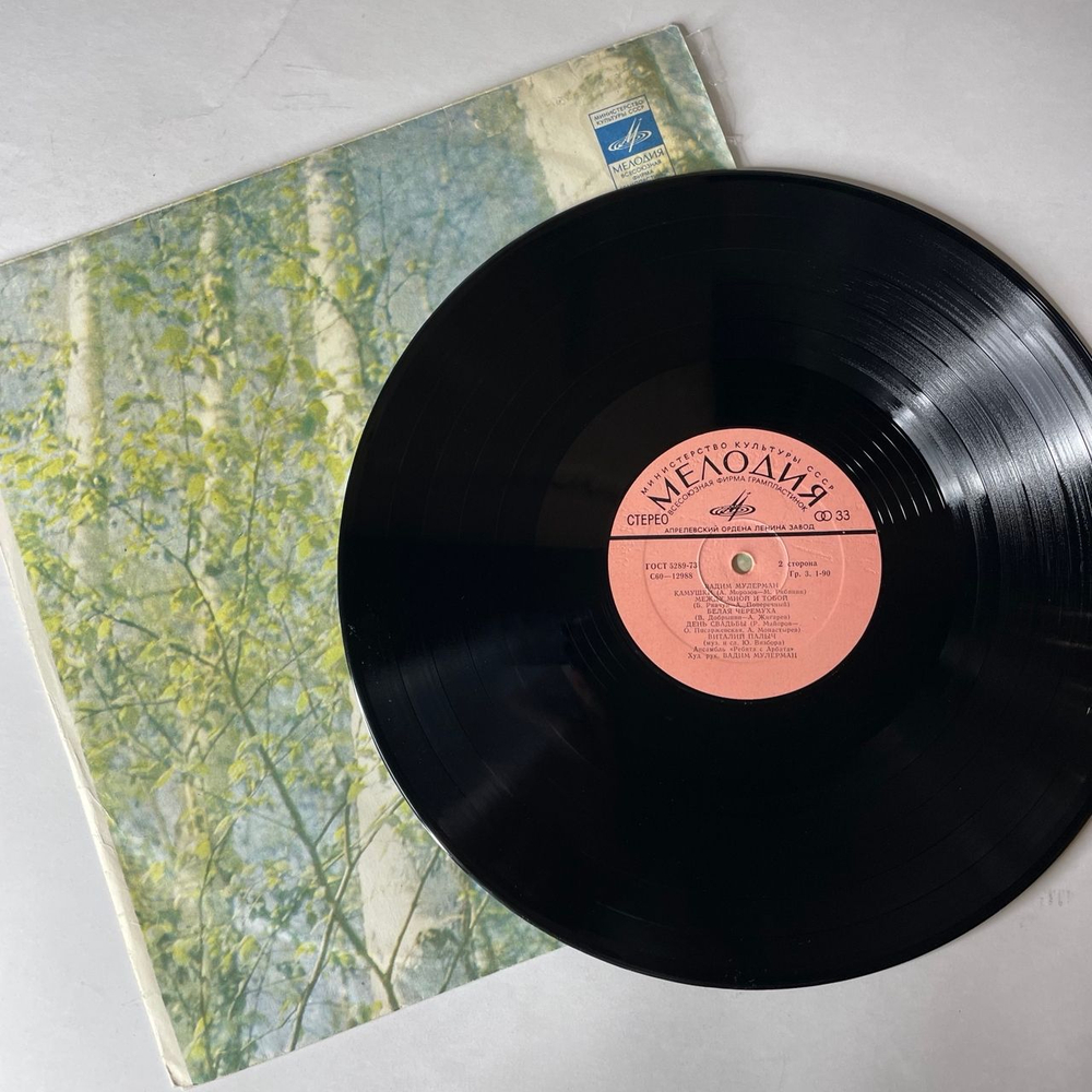 Винтажная виниловая пластинка LP Вадим Мулерман Камушки (СССР 1980)