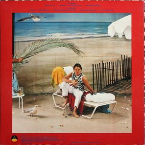 Timothy B. Schmit / Playin' It Cool (LP)