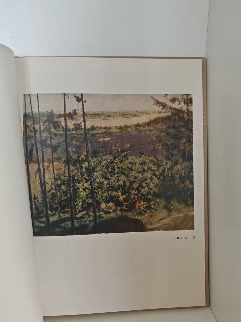 Родная природа в творчестве Ромадина