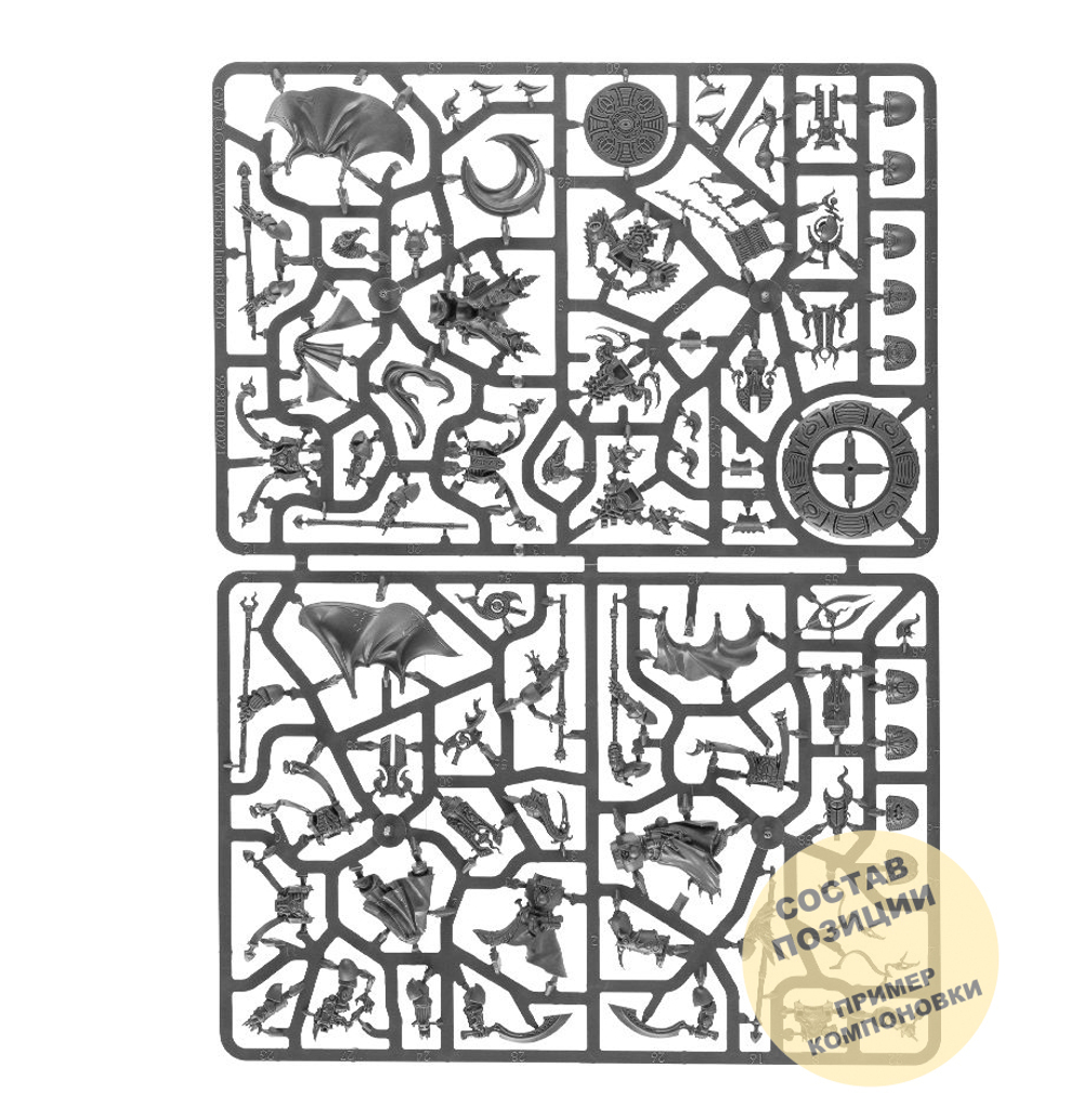 Kill Team: Warp Coven Base Pack