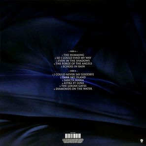 Enya / Dark Sky Island (LP)