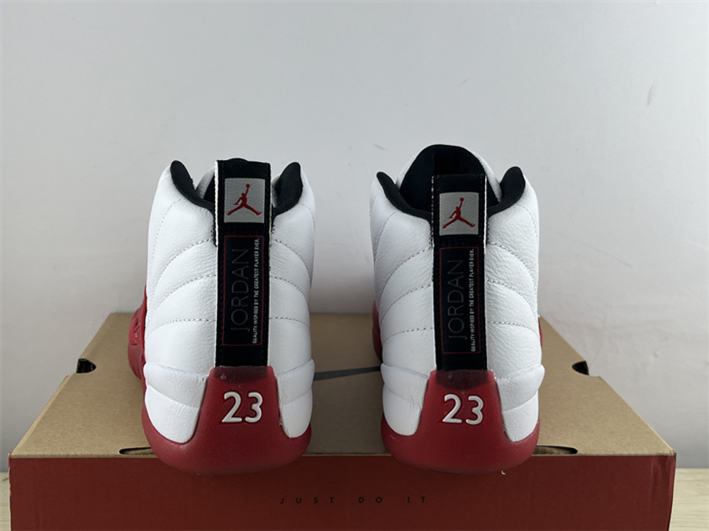 Air Jordan 12 CT8013-116