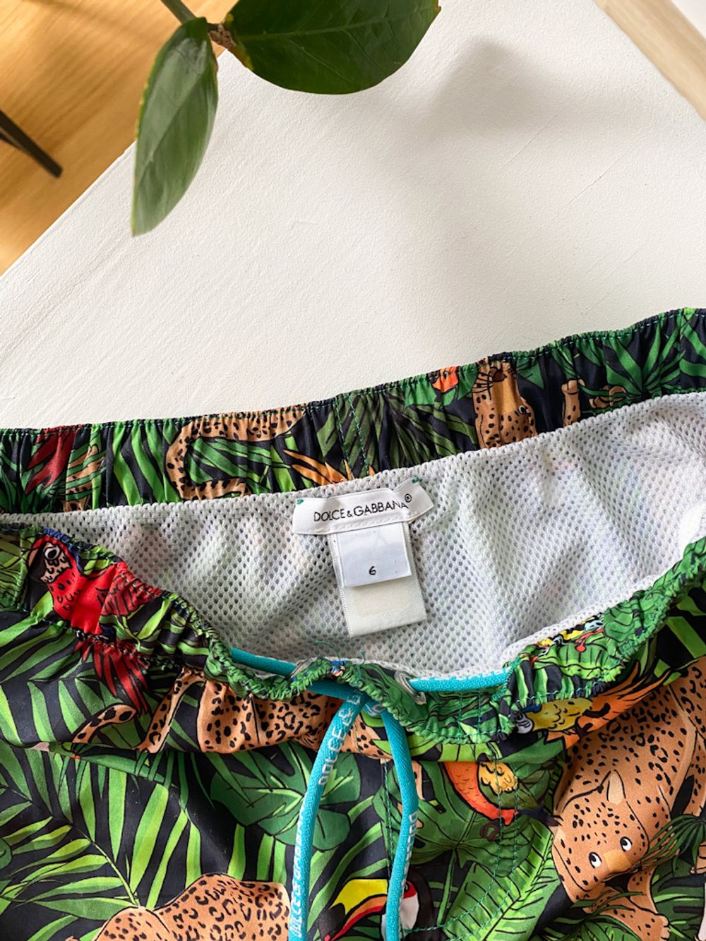 Плавательные шорты Dolce&Gabbana, 116