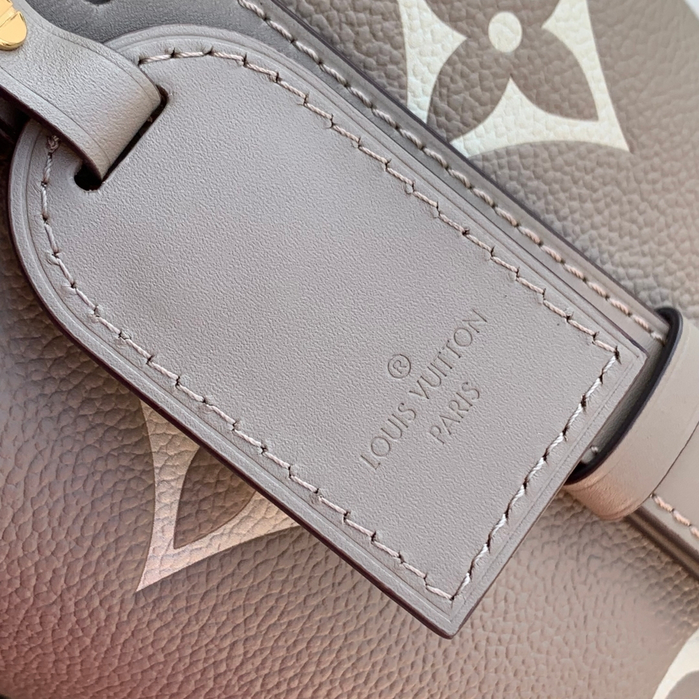Louis Vuitton All In BB
