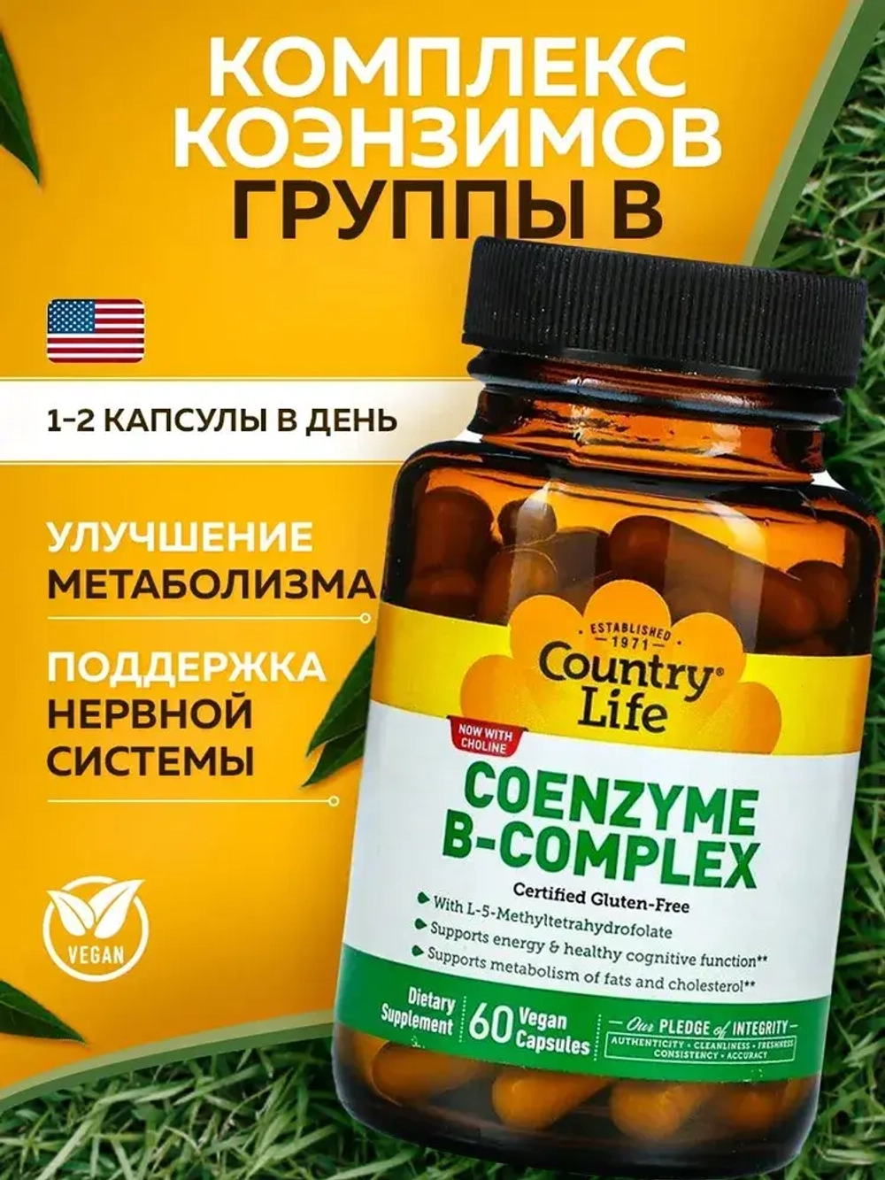 COENZYME B-COMPLEX