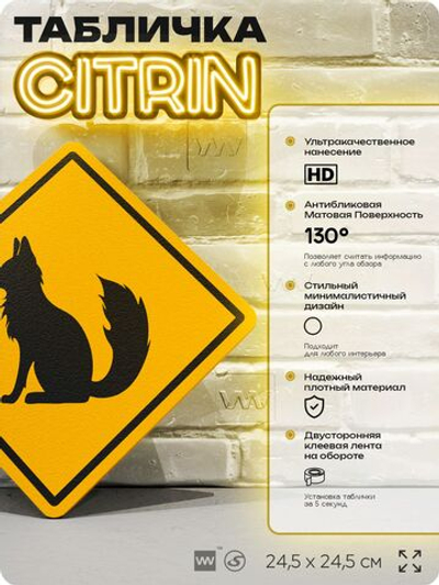 Табличка прикольная "Осторожно, лиса" на дверь и стену, информационная и предупреждающая, декоративный знак, 24,5х24,5 см, пластиковая, Айдентика Технолоджи