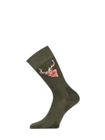 Носки Lasting LFSJ 620, cotton+polyamide, зеленый с рисунком, размер XL, LFSJ620-XL