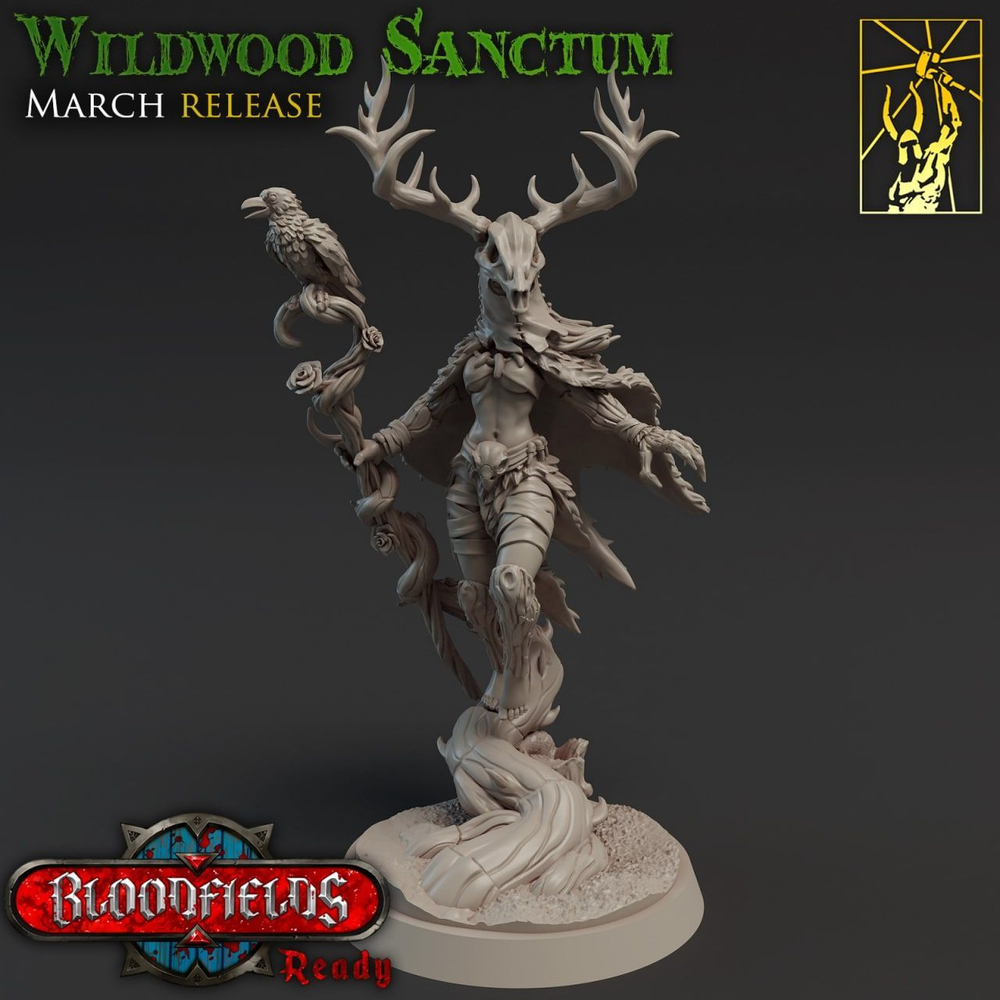Elven Sorcerer
