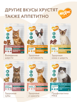 Лакомство Мнямс Хрустящие подушечки для котят с цыпленком и яйцом "Здоровый котенок" 60 г.