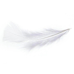 Игра для двоих «50 оттенков страсти. Компактная версия», 50 карт, перо, 18+