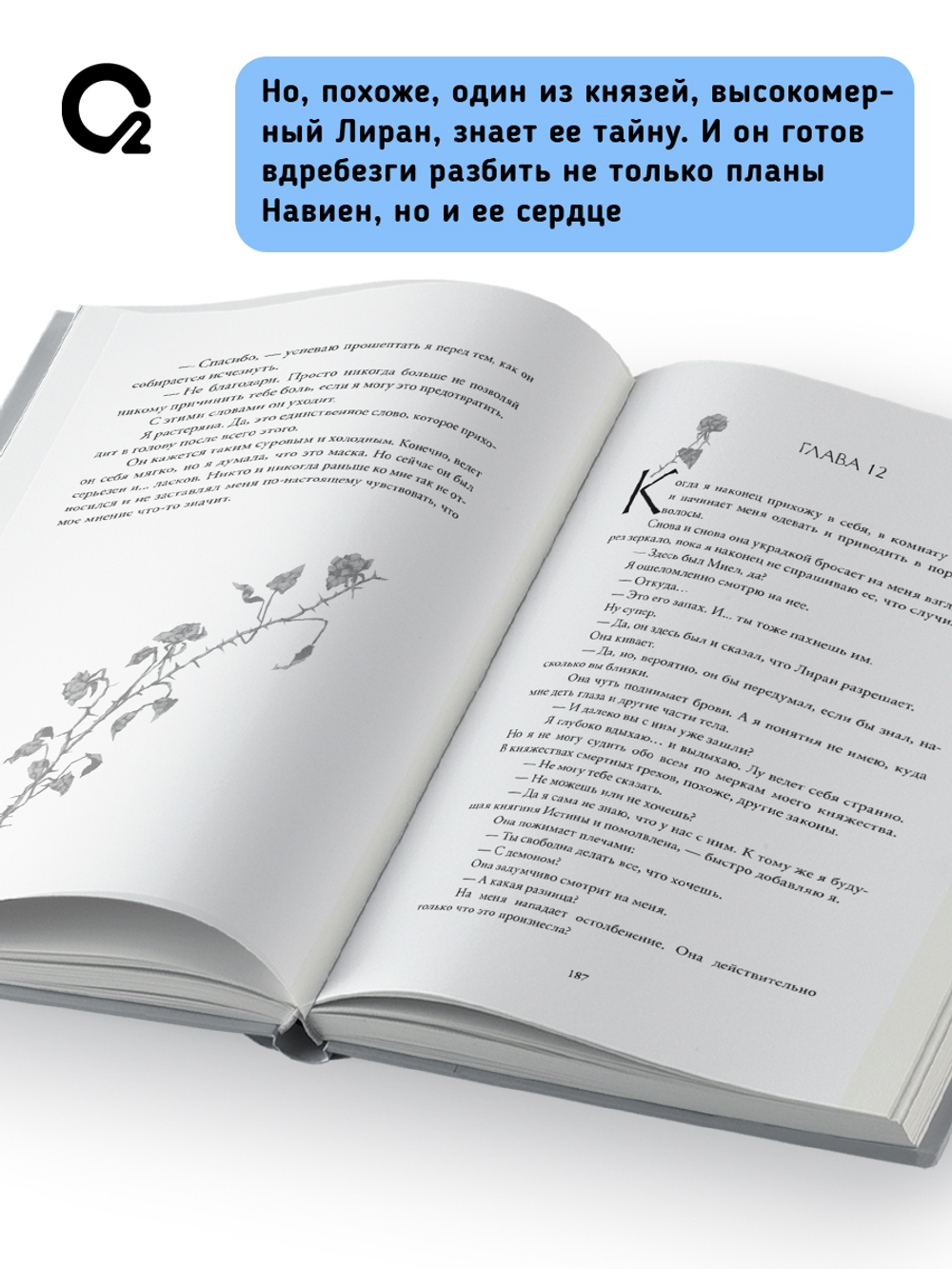 Дана Мюллер-Браун. Падшее королевство. 1. Грех в твоей крови