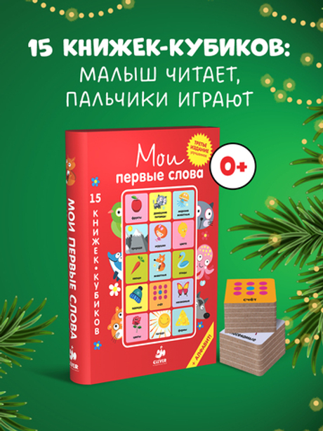 15 книжек-кубиков. Мои первые слова. Русский язык
