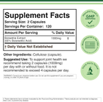 Double Wood Supplements - Boswellia Extract 240 capsules