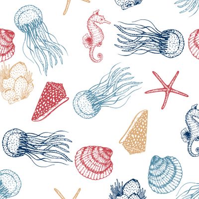 Морские коньки и медузы